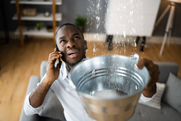 Best Water damage restoration experts  in Princeton, WV