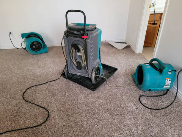 Reliable Princeton, WV Water damage restoration Solutions