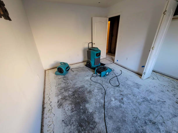 Best Mold removal after water damage  in Princeton, WV