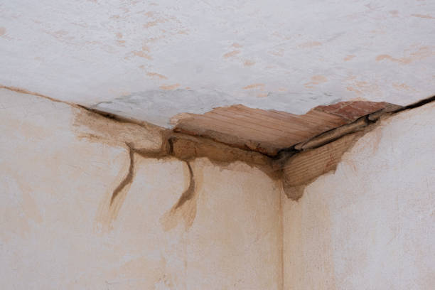 Best Flood restoration services  in Princeton, WV