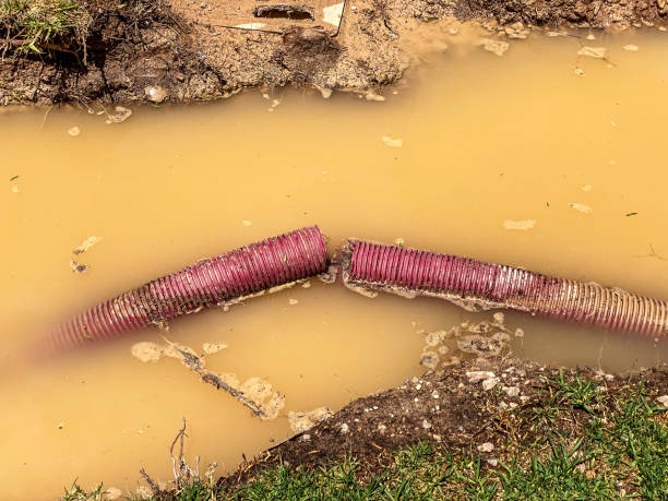 Water damage restoration insurance claims in Princeton, WV