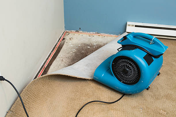 Best Emergency water damage restoration  in Princeton, WV